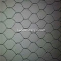 Rete metallica esagonale coperta di PVC per azienda agricola